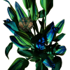 AMARATUS 2 Lirio
