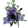 CAMPANUBLAN 3 Campanublan