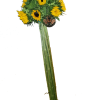 GIRASOLES2 Girasoles
