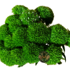 GREENBOLD Green Ball