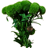 GREENBOLD 2 Green Ball