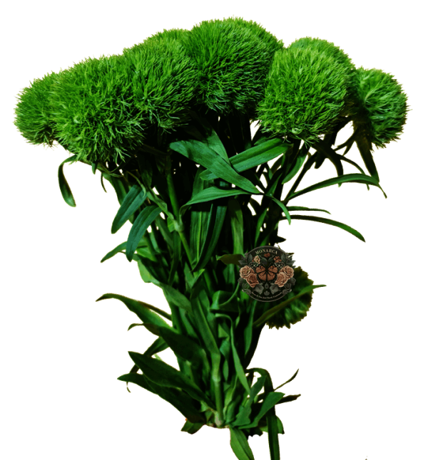 GREENBOLD 2 Green Ball
