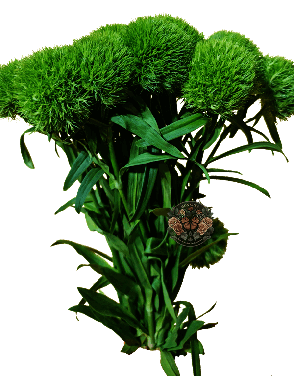 GREENBOLD 2 Green Ball