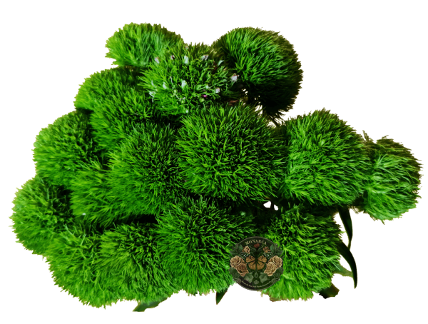 GREENBOLD Green Ball
