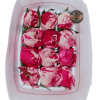 SUTIN ROSA Sutin