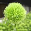 green bold Green Ball