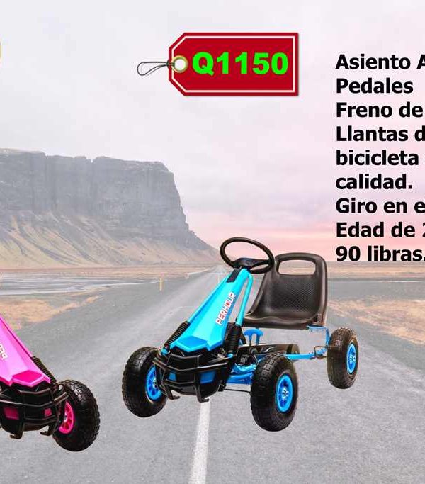 1150 completo Go Kart