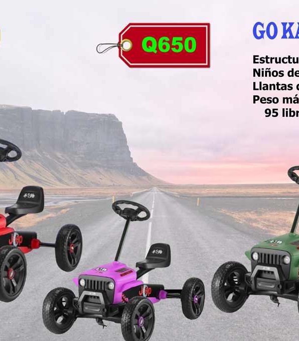 650 completo Go Kart