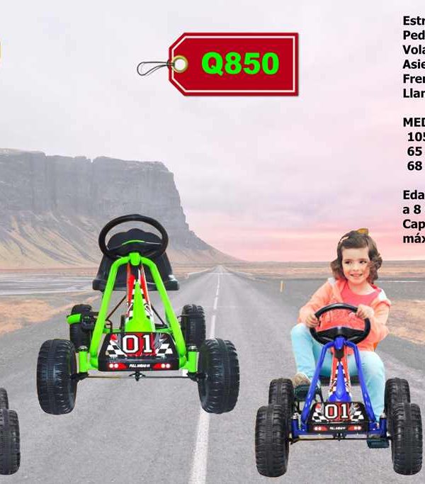 850 completo Go Kart