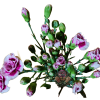 MINI CLAVEL 4 Mini Clavel