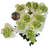 Snapdragon