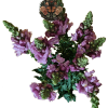 Snapdragon
